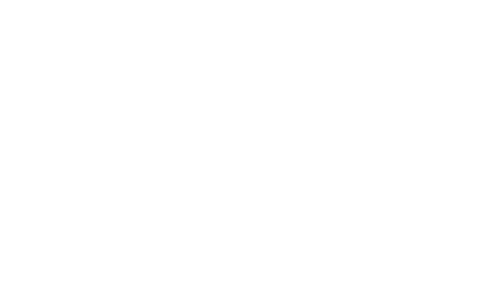 Loock Consulting