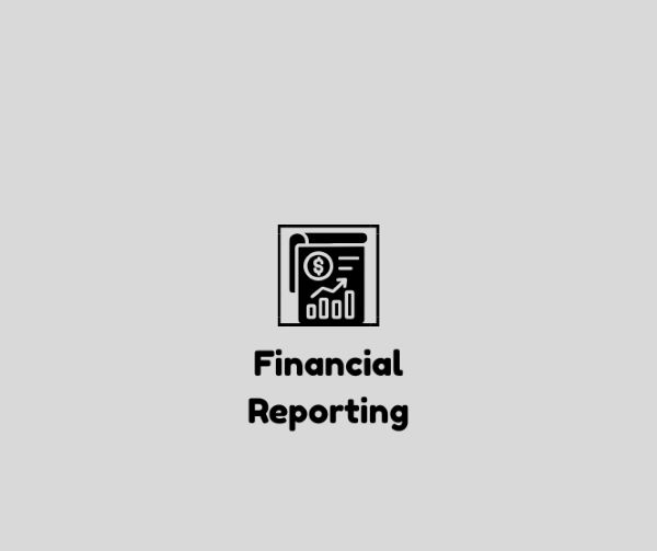 Financial Reporting