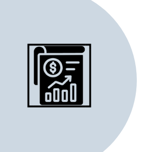 Loock Consulting Financial Reporting