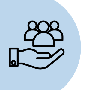 Loock Consulting services